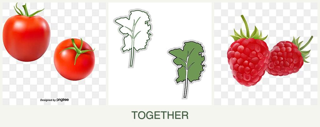 Can you plant tomatoes, kale and raspberries together?