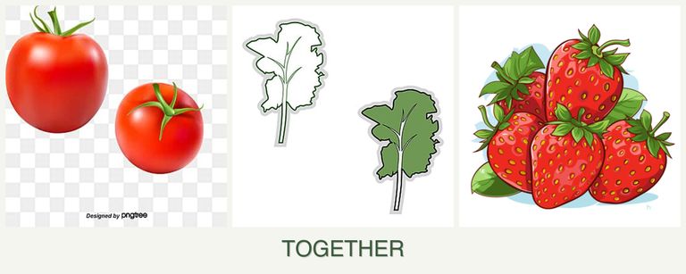 Can you plant tomatoes, kale and strawberries together?