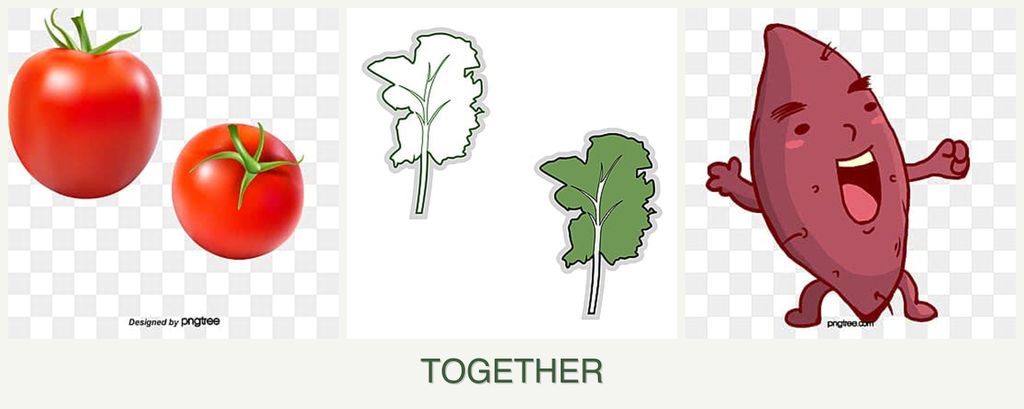 Can you plant tomatoes, kale and sweet potatoes together?