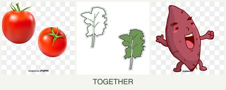 Can you plant tomatoes, kale and sweet potatoes together?