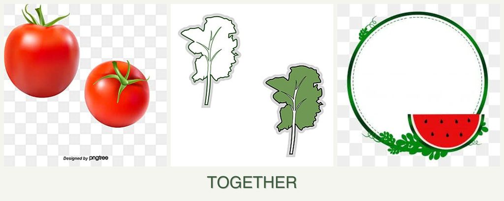 Can you plant tomatoes, kale and watermelons together?