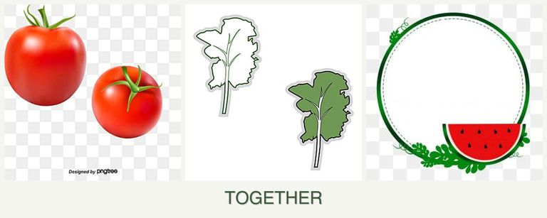 Can you plant tomatoes, kale and watermelons together?