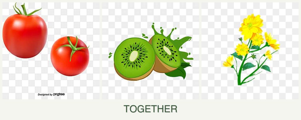 Can you plant tomatoes, kiwi and calendula together?
