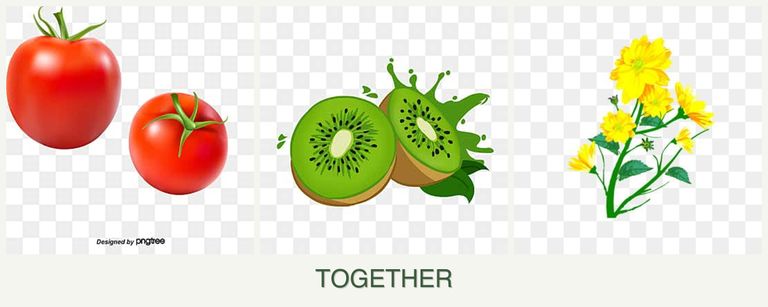 Can you plant tomatoes, kiwi and calendula together?