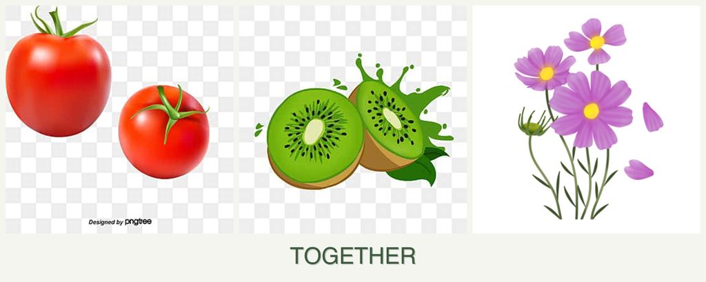Can you plant tomatoes, kiwi and cosmos together?