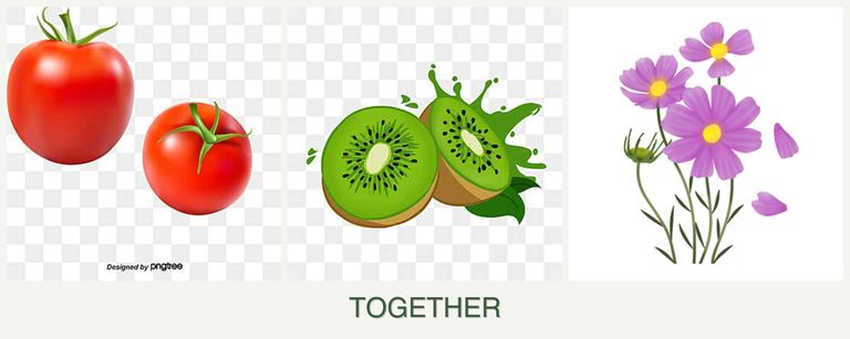 Can you plant tomatoes, kiwi and cosmos together?