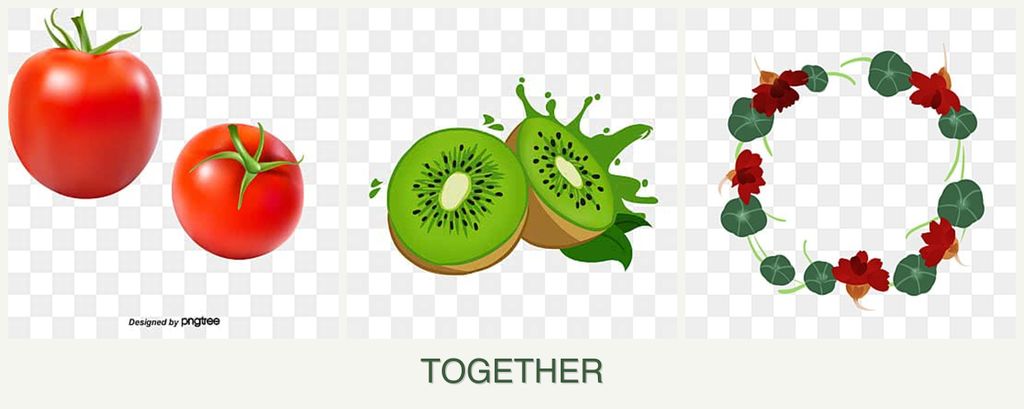 Can you plant tomatoes, kiwi and nasturtiums together?