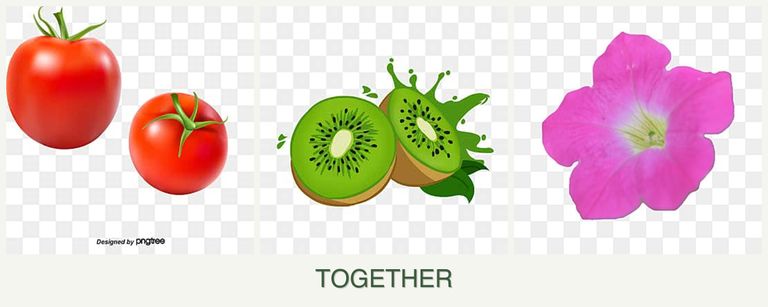 Can you plant tomatoes, kiwi and petunias together?