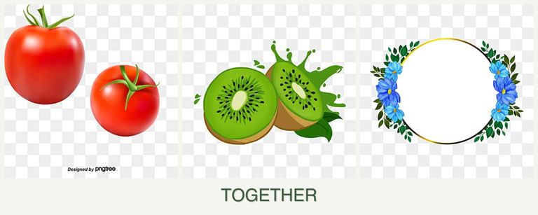 Can you plant tomatoes, kiwi and zinnias together?