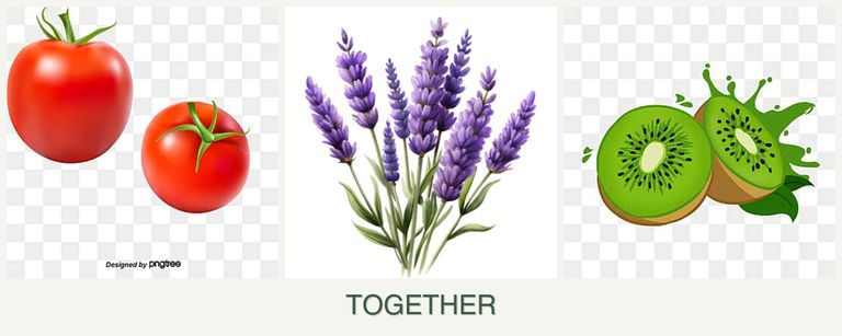 Can you plant tomatoes, lavender and kiwi together?