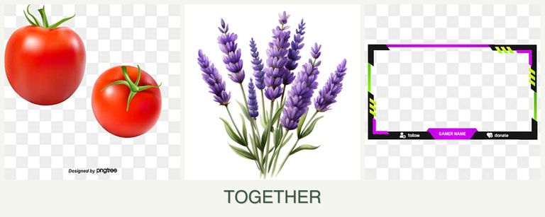Can you plant tomatoes, lavender and limes together?