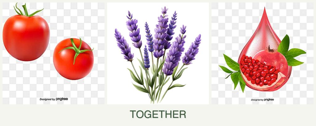 Can you plant tomatoes, lavender and pomegranates together?