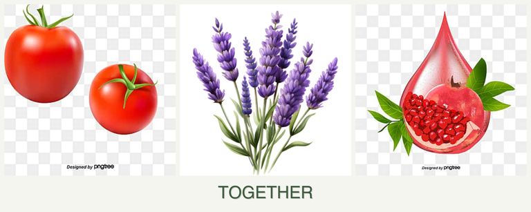 Can you plant tomatoes, lavender and pomegranates together?