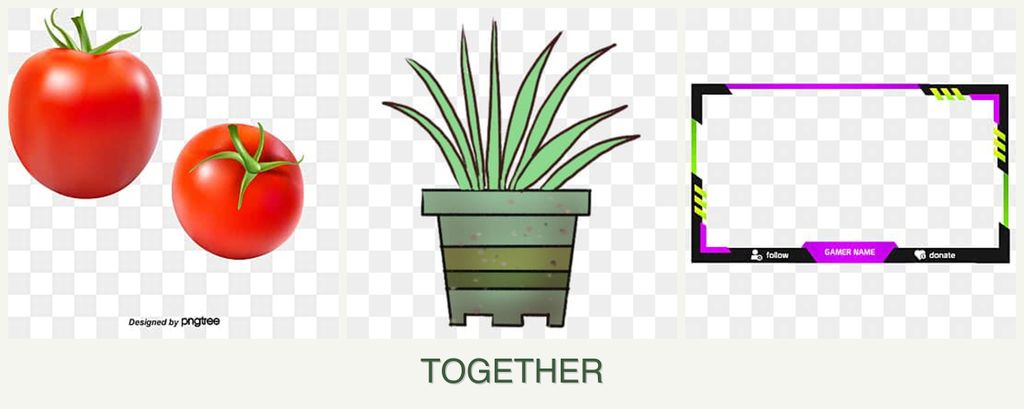Can you plant tomatoes, lemongrass and limes together?