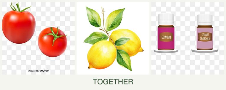 Can you plant tomatoes, lemons and geraniums together?
