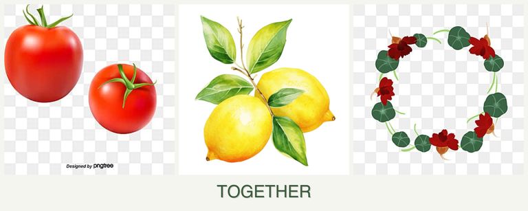 Can you plant tomatoes, lemons and nasturtiums together?