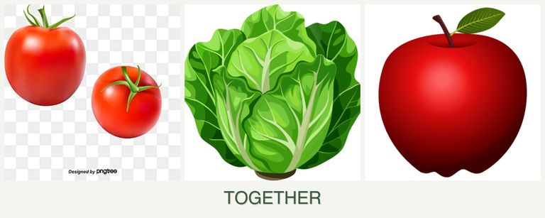 Can you plant tomatoes, lettuce and apples together?