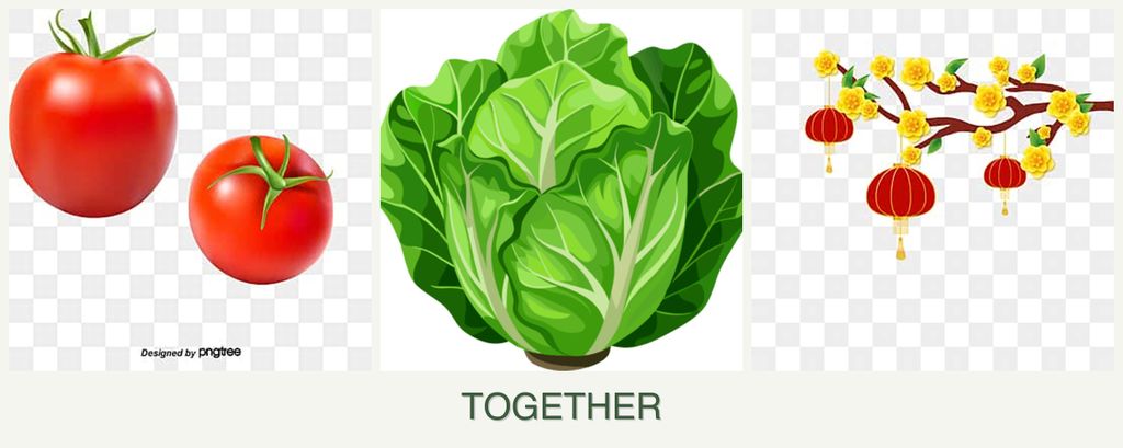 Can you plant tomatoes, lettuce and apricots together?