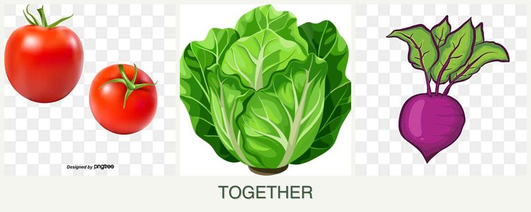Can you plant tomatoes, lettuce and beets together?