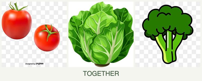 Can you plant tomatoes, lettuce and broccoli together?
