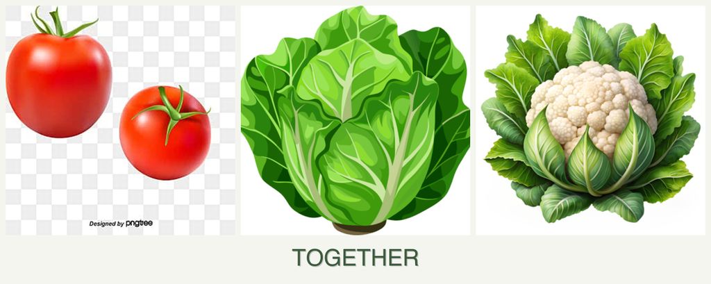 Can you plant tomatoes, lettuce and cauliflower together?