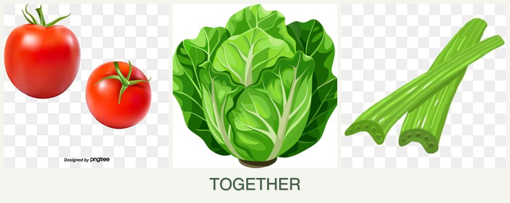 Can you plant tomatoes, lettuce and celery together?