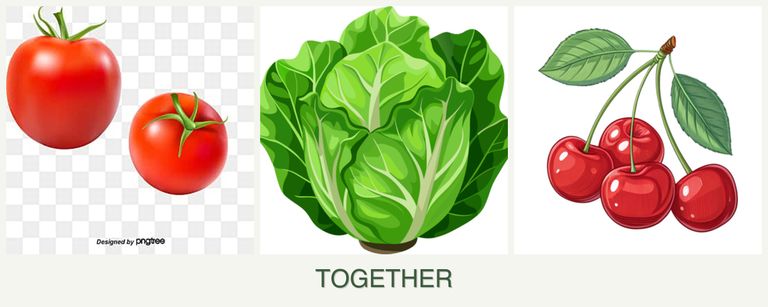 Can you plant tomatoes, lettuce and cherries together?