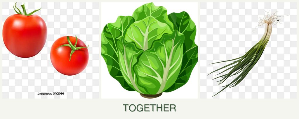 Can you plant tomatoes, lettuce and chives together?