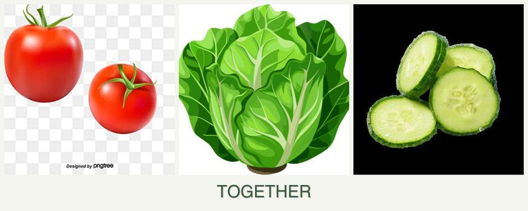 Can you plant tomatoes, lettuce and cucumbers together?