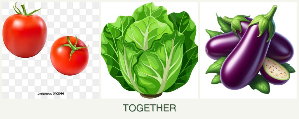 Can you plant tomatoes, lettuce and eggplant together?