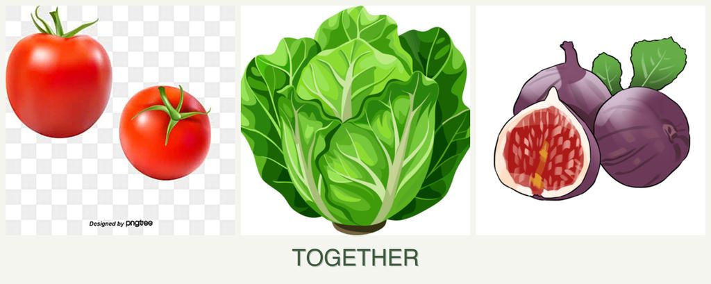 Can you plant tomatoes, lettuce and figs together?