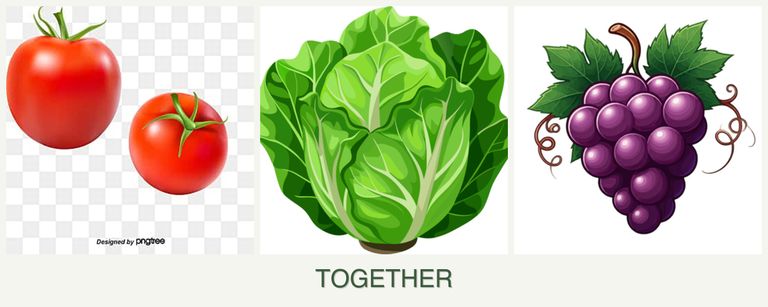 Can you plant tomatoes, lettuce and grapes together?