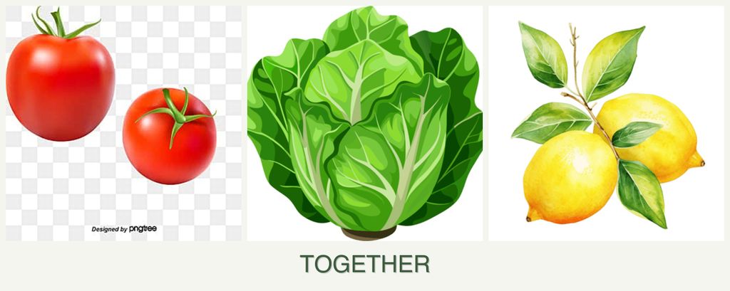 Can you plant tomatoes, lettuce and lemons together?
