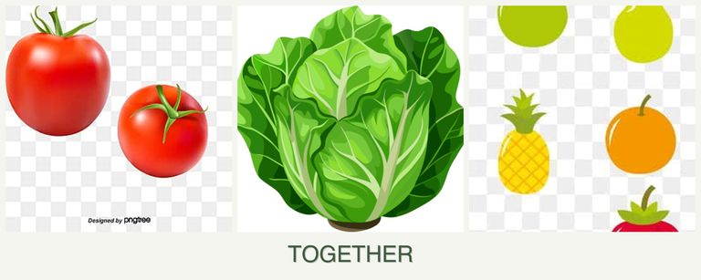 Can you plant tomatoes, lettuce and pears together?