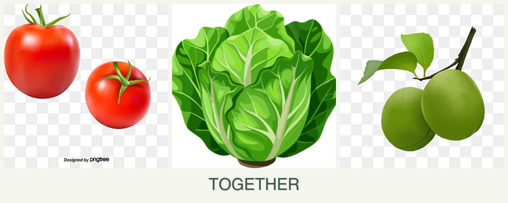 Can you plant tomatoes, lettuce and plums together?