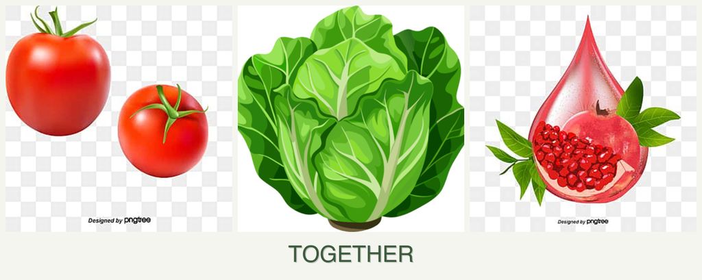 Can you plant tomatoes, lettuce and pomegranates together?