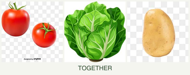 Can you plant tomatoes, lettuce and potatoes together?