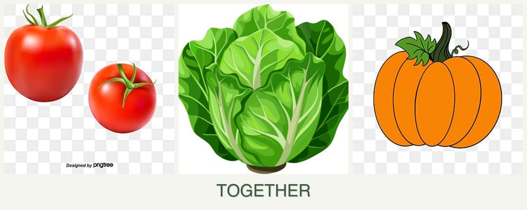 Can you plant tomatoes, lettuce and pumpkin together?