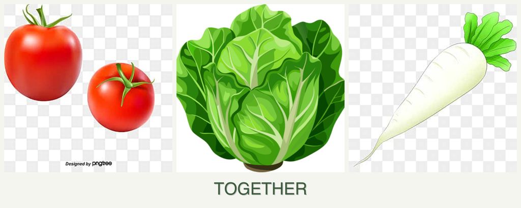 Can you plant tomatoes, lettuce and radishes together?