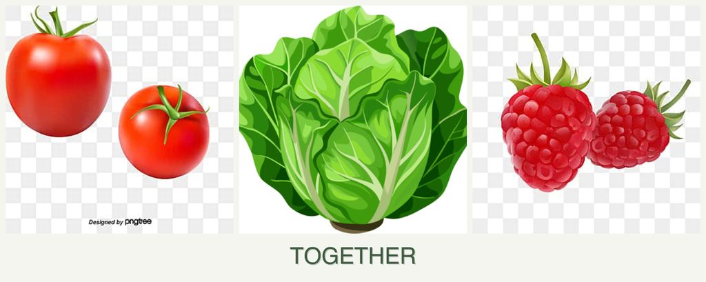 Can you plant tomatoes, lettuce and raspberries together?