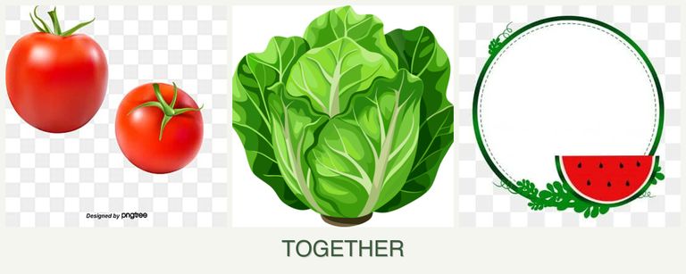 Can you plant tomatoes, lettuce and watermelons together?