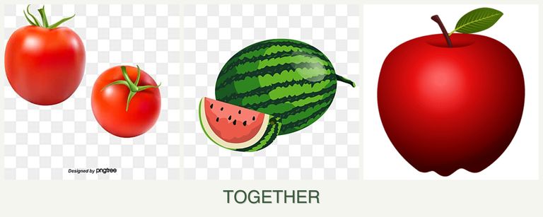 Can you plant tomatoes, melons and apples together?