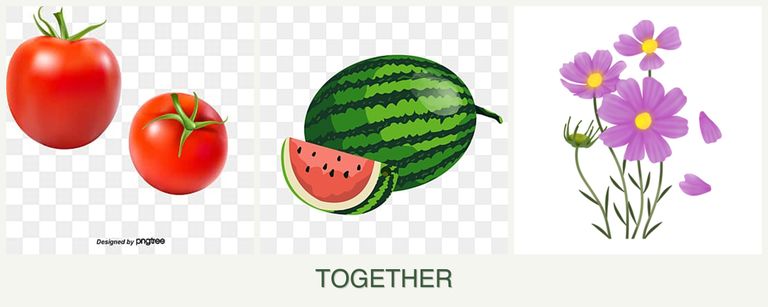 Can you plant tomatoes, melons and cosmos together?