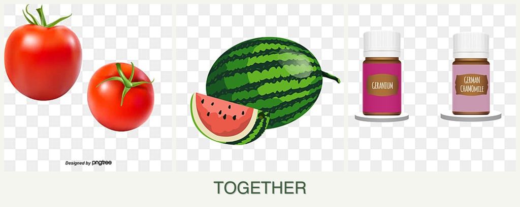 Can you plant tomatoes, melons and geraniums together?