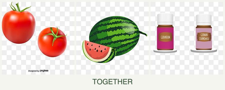 Can you plant tomatoes, melons and geraniums together?