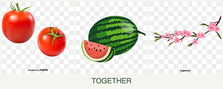 Can you plant tomatoes, melons and peaches together?