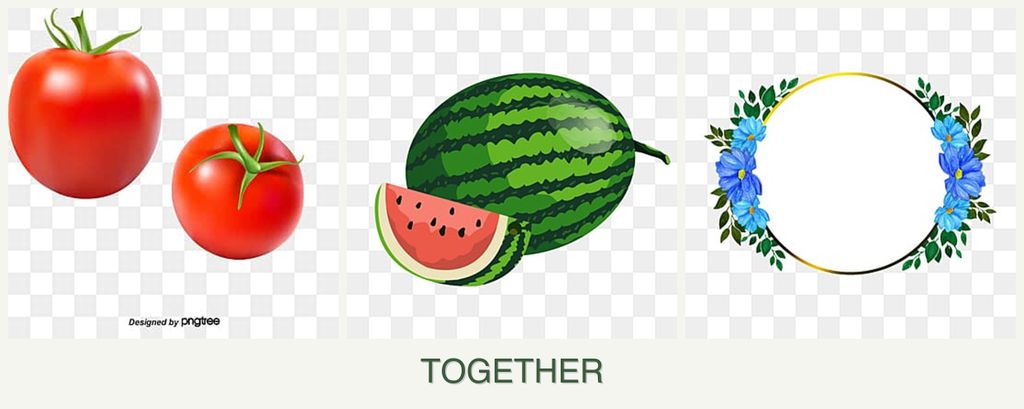 Can you plant tomatoes, melons and zinnias together?