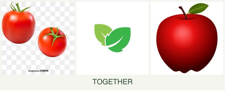 Can you plant tomatoes, mint and apples together?