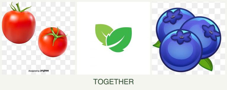 Can you plant tomatoes, mint and blueberries together?
