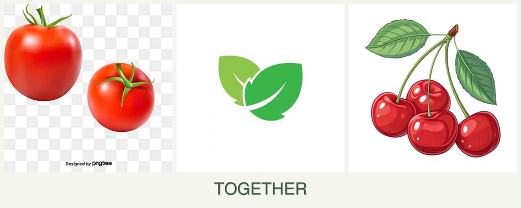 Can you plant tomatoes, mint and cherries together?